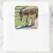 ZonkeyパートZebraとDonkey スクエアシール (バッグ)