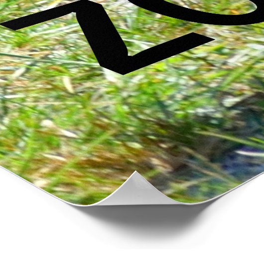 ZonkeyパートZebraとDonkey ポスター (角)