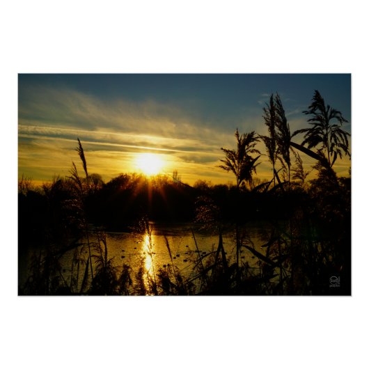 Zonsondergang bij een meertje met rietpluimen. ポスター (正面)