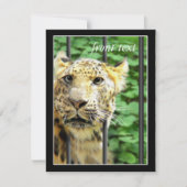 Zooでのミス 招待状 (正面)