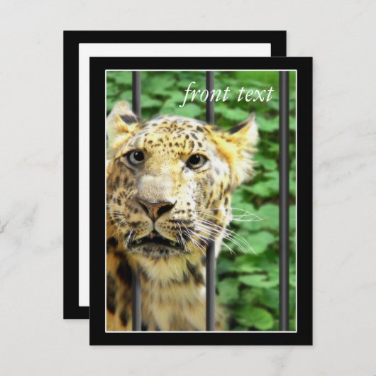 Zooでのミス 招待状 (正面/裏面)