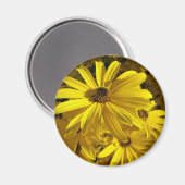 Zooのひまわり マグネット (正面/裏面)