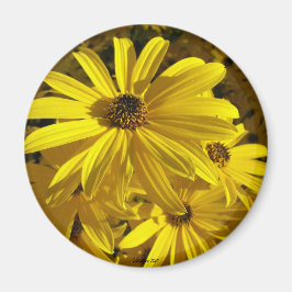 Zooのひまわり マグネット