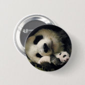 zoo-atlanta_giant_panda_lun-lun_and_cub 缶バッジ (正面&裏面)