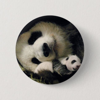 zoo-atlanta_giant_panda_lun-lun_and_cub 缶バッジ