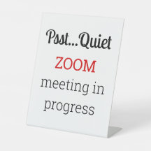 Zoom Meeting In Progress
