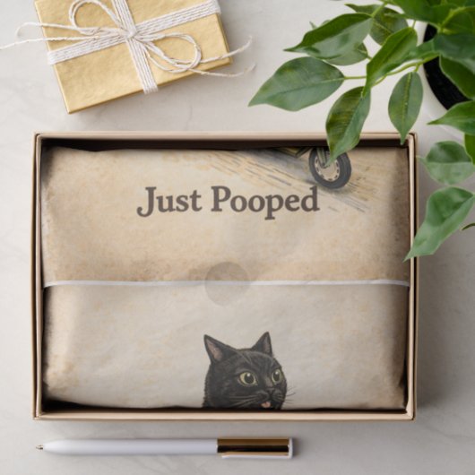 Zoomies Kitty  薄葉紙 (ギフト)