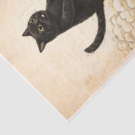 Zoomies Kitty  薄葉紙 (詳細)