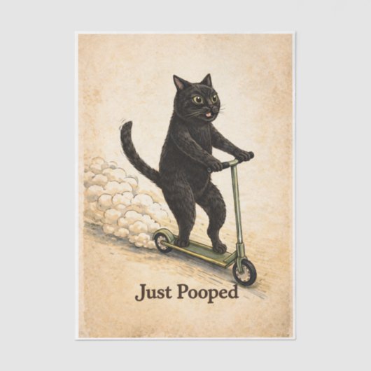 Zoomies Kitty  薄葉紙 (正面)