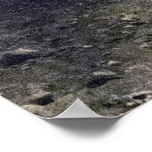 Zorn – レディースでラッキー ポスター (角)