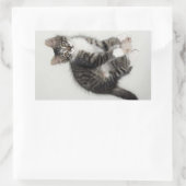 Zorroと彼のマウスステッカー 長方形シール (バッグ)