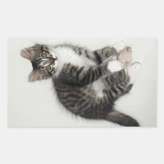 Zorroと彼のマウスステッカー 長方形シール (正面)