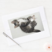 Zorroと彼のマウスステッカー 長方形シール (封筒)