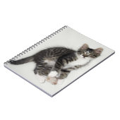 Zorroと彼のマウス手帳 ノートブック (左側)