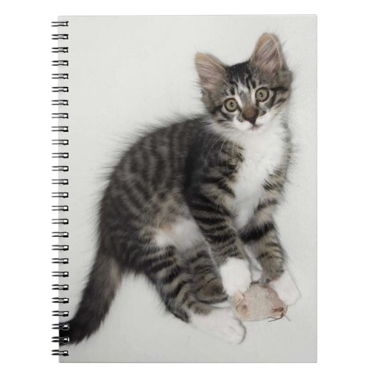 Zorroと彼のマウス手帳 ノートブック (正面)