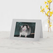 Zorro カード (黄色い花)