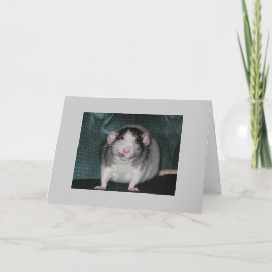 Zorro カード (正面)