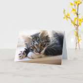 Zorro By The Window Anniversary Card カード (黄色い花)