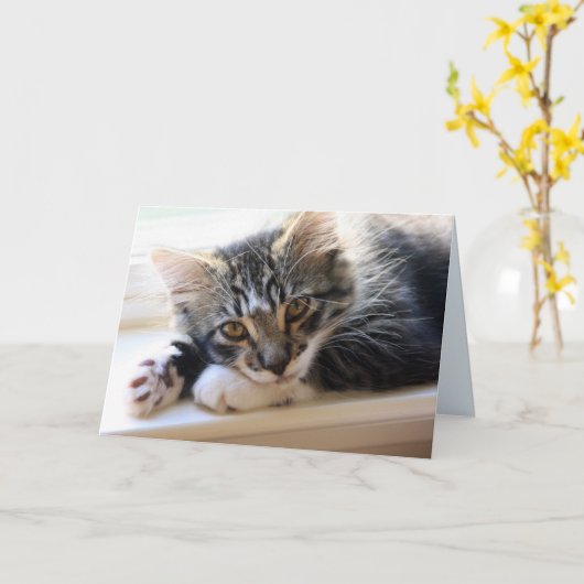 Zorro By The Window Anniversary Card カード (黄色い花)