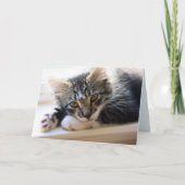 Zorro By The Window Anniversary Card カード (正面)