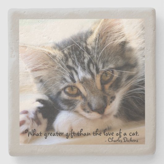 Zorro Kitten By the Window Stone Gray Coaster ストーンコースター (正面)