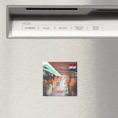 zPY005パラグアイ，市場，アメリカ，冷蔵庫 マグネット (インサイチュ (食洗機))