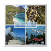 ZSC025セーシェル，モザイク，アフリカ， タイル (正面)