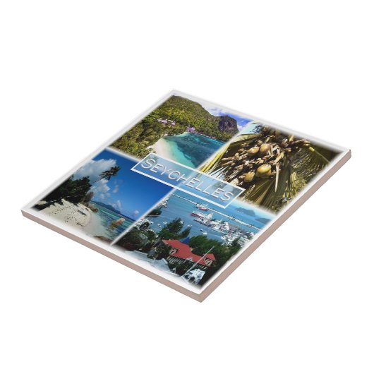 ZSC025セーシェル，モザイク，アフリカ， タイル (側面)