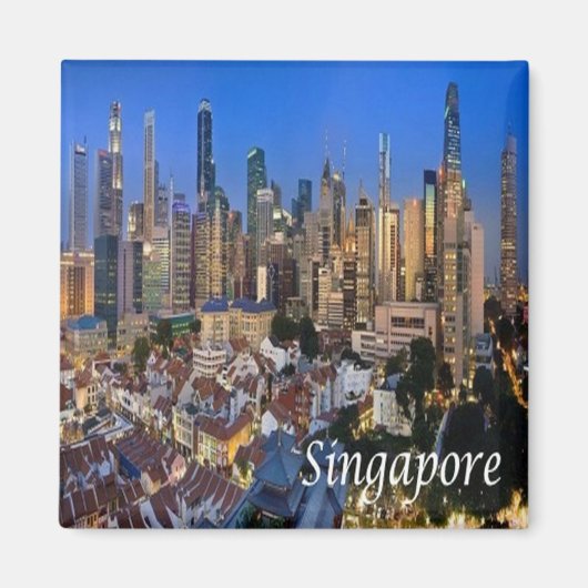 zSG006 SINGAPORE panorama LION CITY，アジア，冷蔵庫 マグネット (正面)