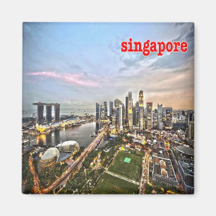 zSG009 SINGAPOREビューライオンシティ、アジア、冷蔵庫 マグネット