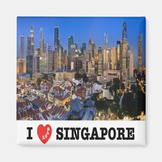zSG010 LION CITY i love SINGAPORE，アジア，冷蔵庫 マグネット (正面)