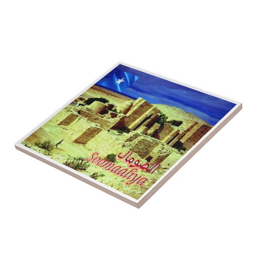 zSO005ソマリア、タレ城、アフリカ、 タイル (側面)