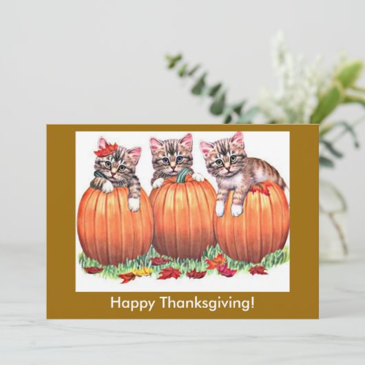 ZSSGカボチャの幸せな感謝祭の子猫 シーズンカード (スタンド正面)
