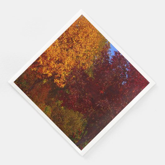 ZSSPG，黄と紫の紅葉 (コーナー)