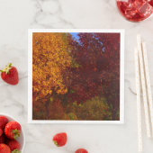 ZSSPG，黄と紫の紅葉 (インサイチュ)