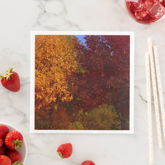 ZSSPG，黄と紫の紅葉 (インサイチュ)