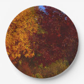ZSSPG，黄と紫の紅葉 ペーパープレート (正面)