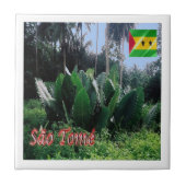 zST004 SAO TOME,アフリカ, タイル (正面)