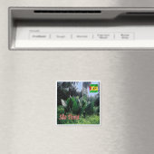 zST004 SAO TOME，アフリカ，冷蔵庫 マグネット (インサイチュ (食洗機))