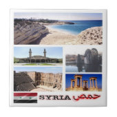 zSY005モザイクSYRIA、アジア、 タイル (正面)