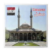 zSY008 TEKKIYE MOSQUE in DAMASCUS, Syria, タイル (正面)