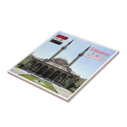 zSY008 TEKKIYE MOSQUE in DAMASCUS, Syria, タイル (側面)
