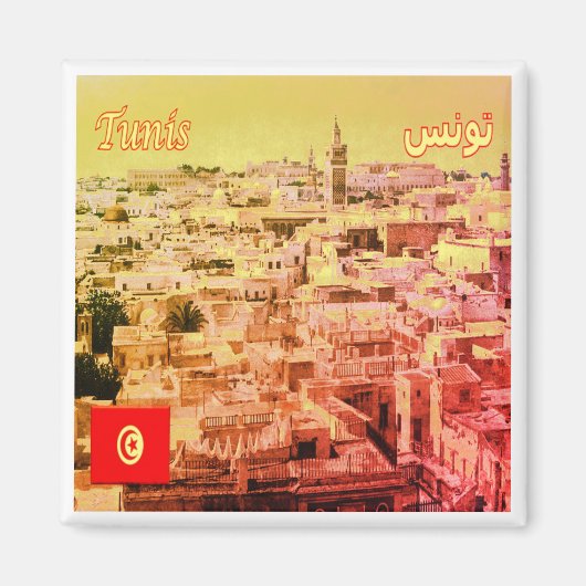zTN013 TUNIS,チュニジア,アフリカ,冷蔵庫 マグネット (正面)