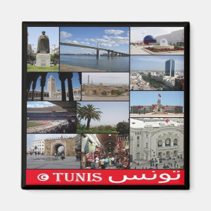 zTN020 TUNIS,モザイク,チュニジア,アフリカ,冷蔵庫マグン マグネット