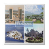 zTZ016タンザニア，モザイク，アフリカ， タイル (正面)