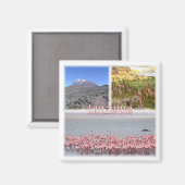 zTZ019 TANZANIA，モザイク，アフリカ，冷蔵庫 マグネット (正面/裏面)