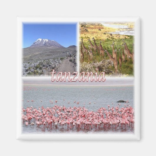 zTZ019 TANZANIA，モザイク，アフリカ，冷蔵庫 マグネット (正面)