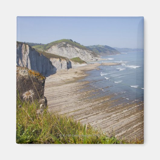 Zumaiaの海岸でフライシュ，ギプツコア，バスク マグネット (正面)