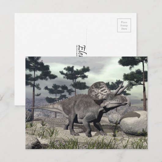 Zuniceratops恐竜 – 3D 描写 ポストカード (正面/裏面)