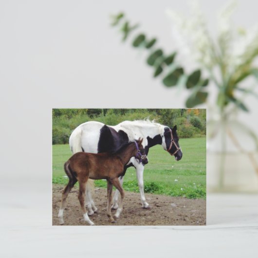 zura3 ポストカード (スタンド正面)